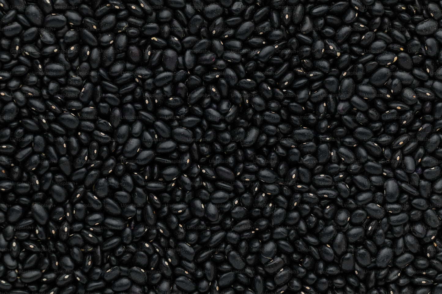Black Beans
