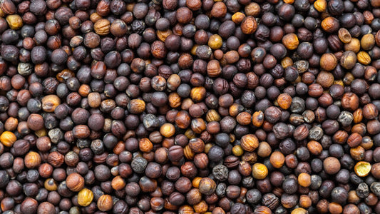 Mustard/Canola/Rapeseed