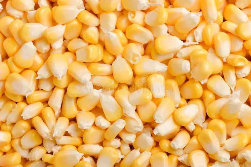 Corn
