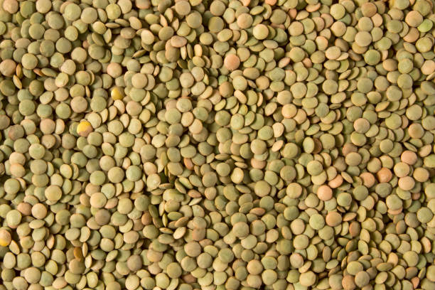 Green Lentils