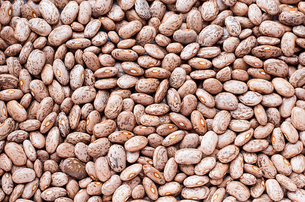 Pinto Beans
