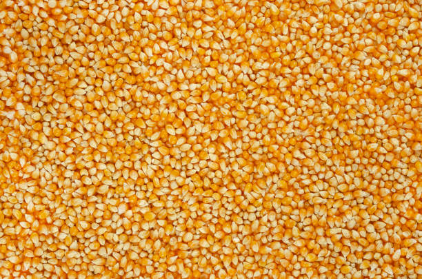 Popcorn