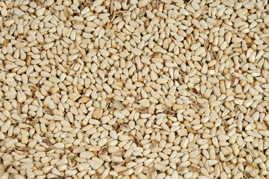 Safflower Seed
