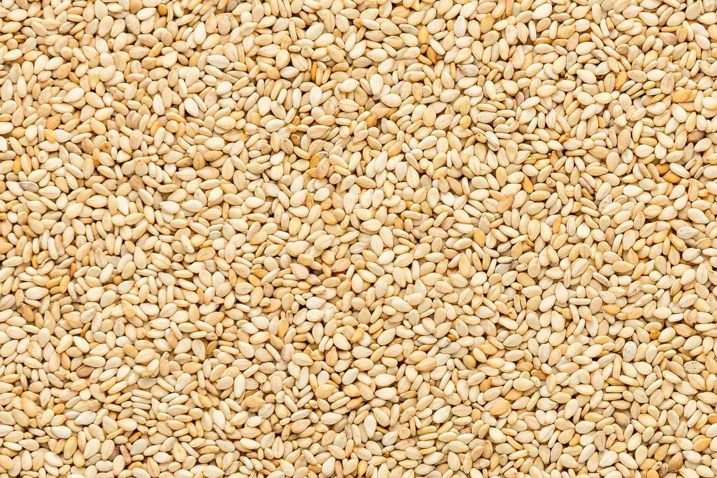 Sesame Seeds