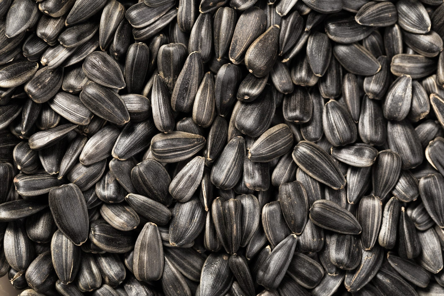 Sunflower Seeds