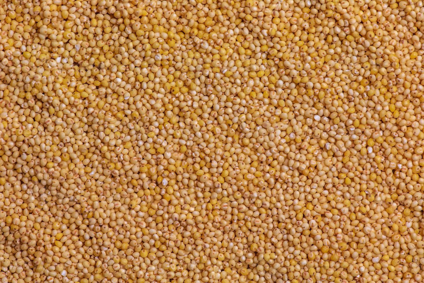 Millet